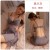 2044 Moran Grey (Nightwear)